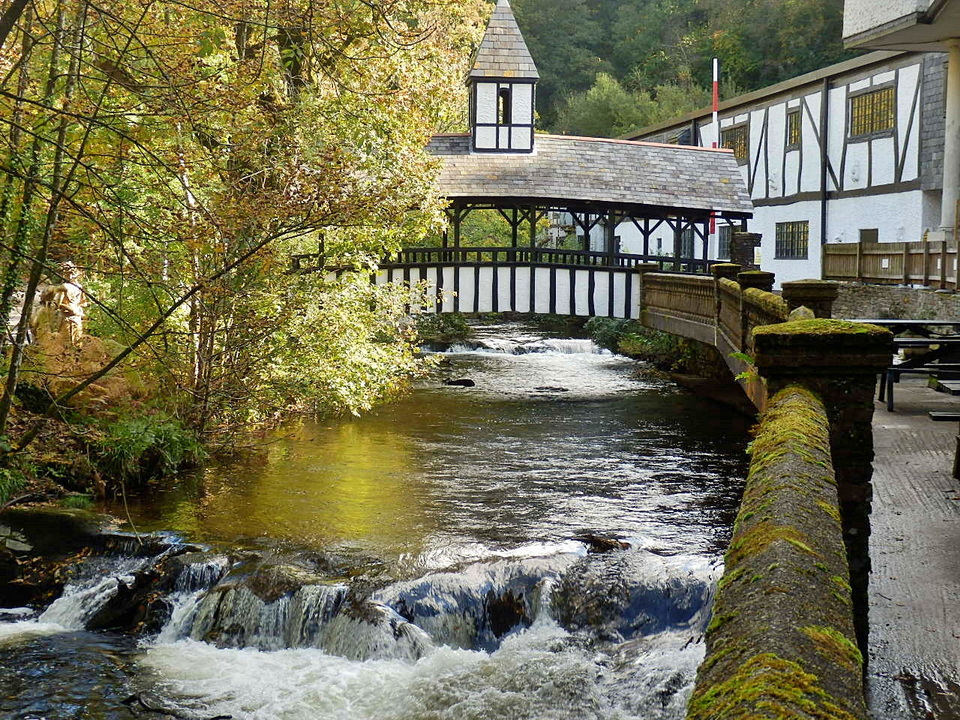 Trago Mills Pensioners' Discount Day